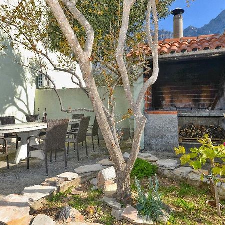 Villa Jelena Makarska Exterior foto